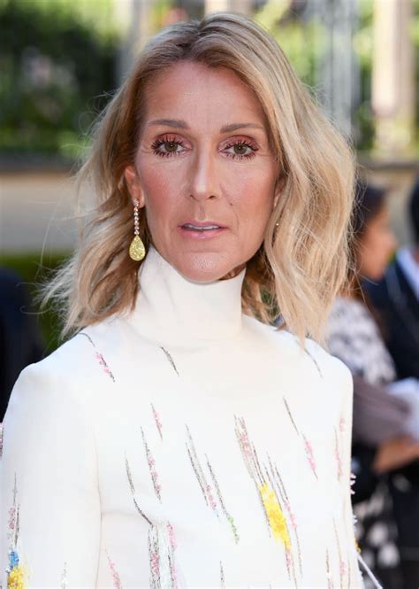 céline dion makeup